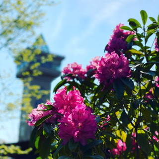 ☆titiからのお知らせ☆